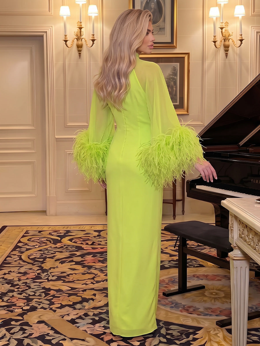 Chiffon Sheath High Neck Floor Length Sheer Sleeves Formal Dresses with Feather